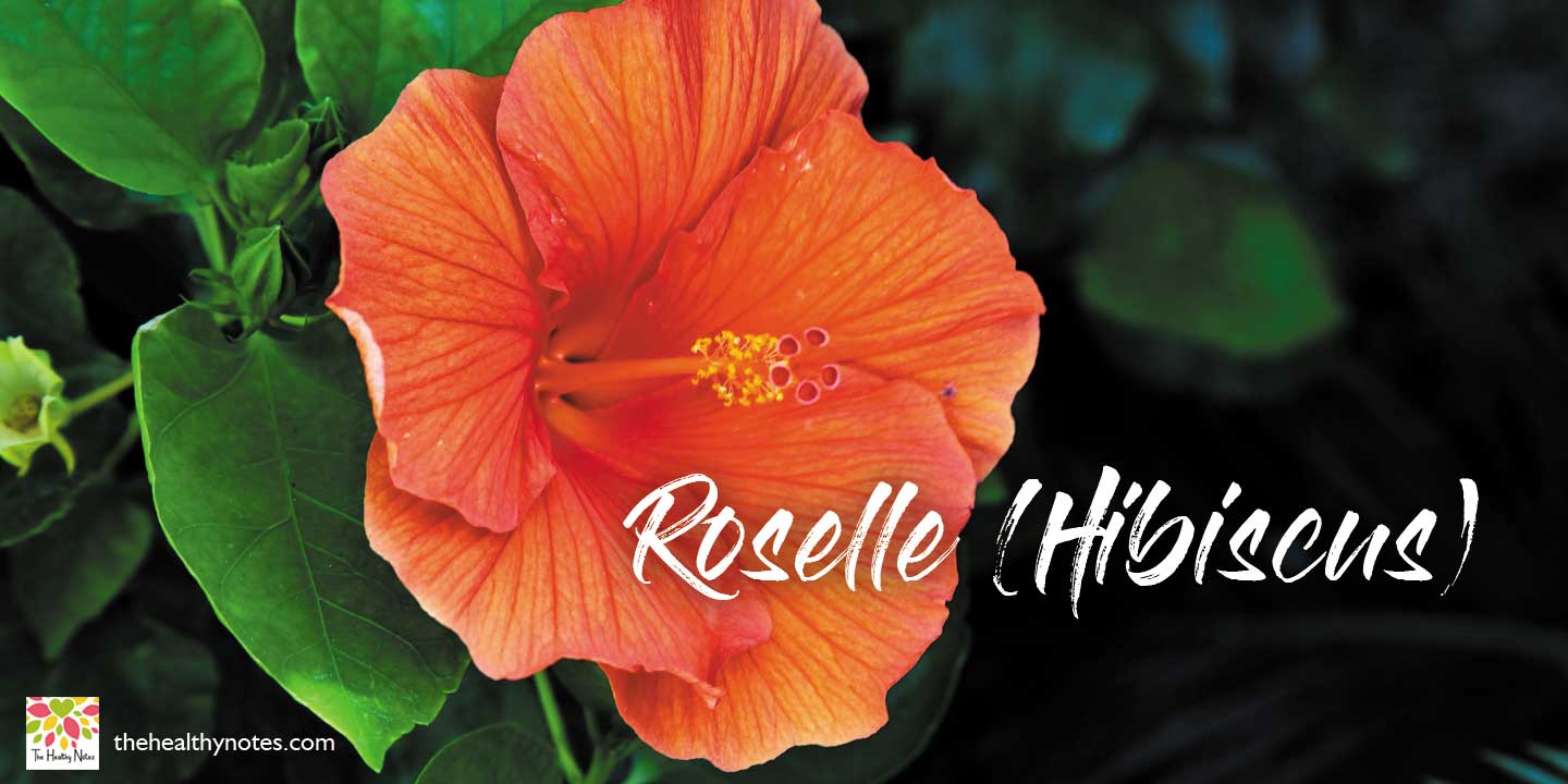 Roselle tea health benefits and recipe