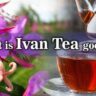 What is Ivan tea good for?