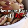 How many Brazil nuts will kill you?